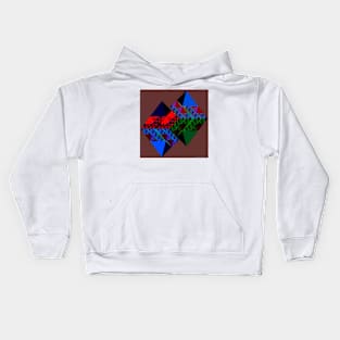 417d1 Kids Hoodie